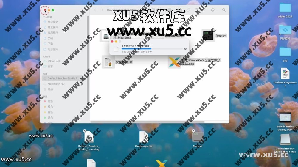 达芬奇18.4 MAC系统安装使用教程.mp4_20240707_154218.357.jpg 达芬奇18.6 for MAC 图文安装教程