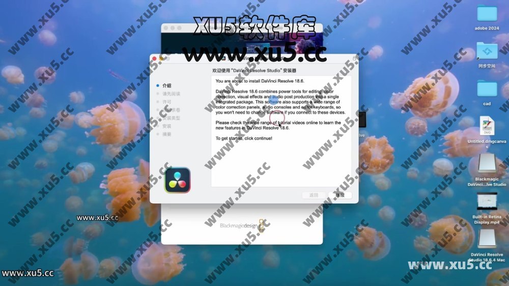 达芬奇18.4 MAC系统安装使用教程.mp4_20240707_154227.292.jpg 达芬奇18.6 for MAC 图文安装教程